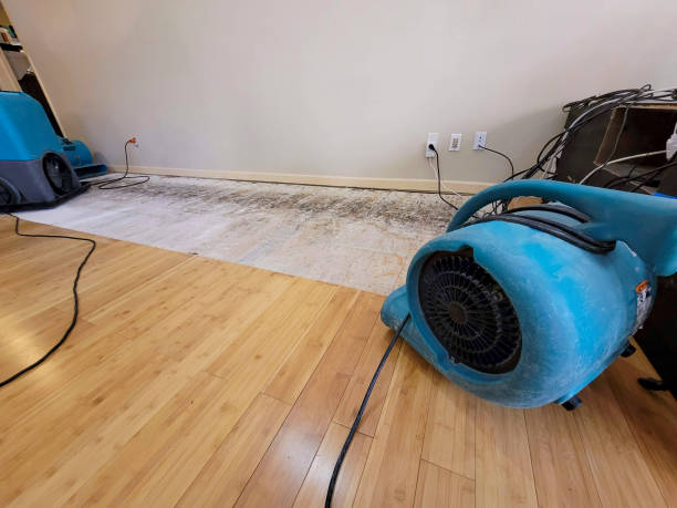 Professional Sewage Cleanup technician working in Massillon, OH